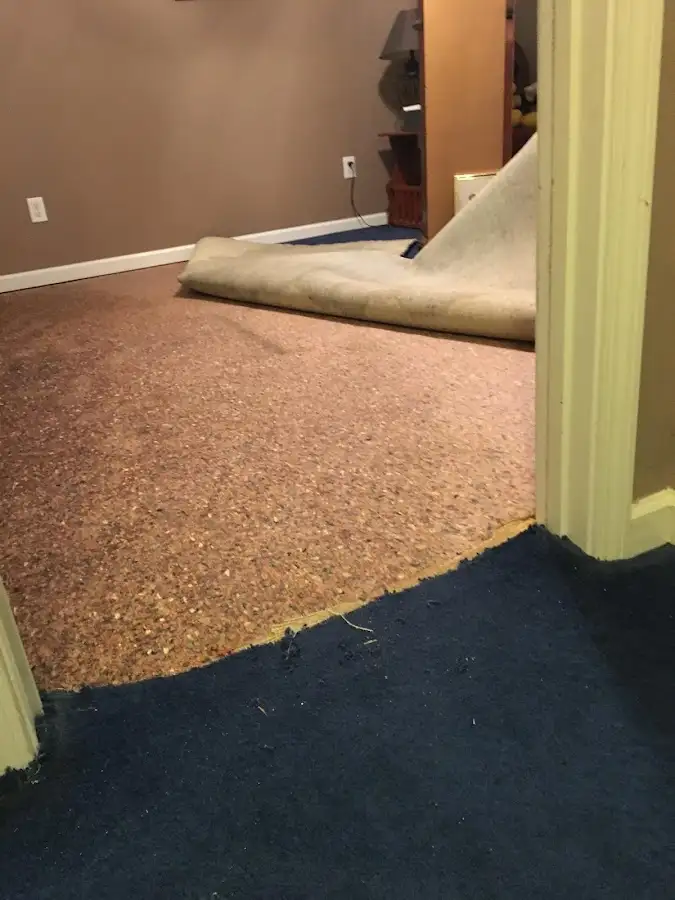 Carpet pad removal revealing water damage during Water Mitigation Services in Great Neck