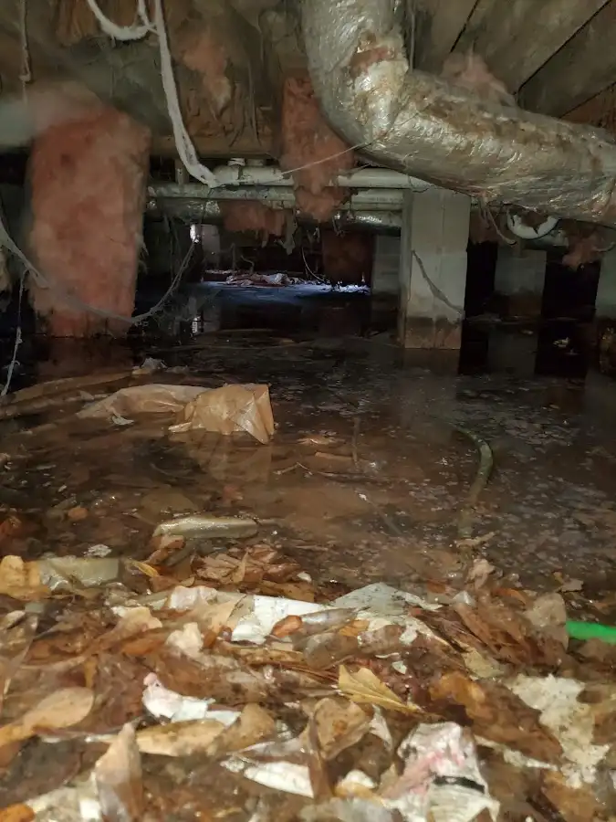 Crawl space flood assessment for Commercial Water Damage Restoration in Great Neck