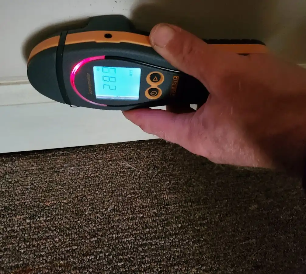 Moisture detection at baseboard during Sewage Cleanup & Sanitation in Great Neck